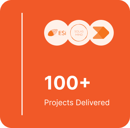 Projects delivered highlight